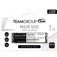 [HDTEA-MS30M2-1TB] Team MS30 (TM8PS7001T0C101) 1TB