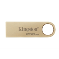 [SDKIN-DTSE9G3256] Kingston DataTraveler 256GB RAM