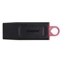 Kingston DataTraveler Exodia 256GB RAM