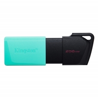 Kingston DataTraveler ExodiaM 256GB RAM