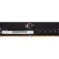 Team ELITE 16GB No Heatsink (1 x 16GB) 16GB (1x16GB) DDR5 4800MHz RAM