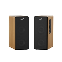 Genius SP-HF1220BT 45W RMS